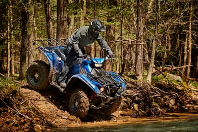 2018 - 2021 Yamaha Kodiak 700