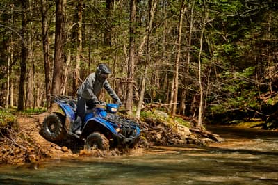 2018 - 2021 Yamaha Kodiak 700