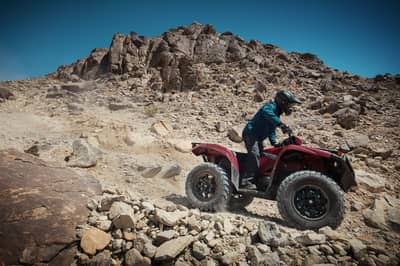 2021 Yamaha Grizzly EPS