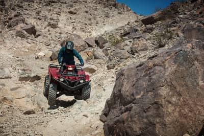 2021 Yamaha Grizzly EPS