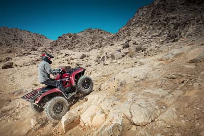 2021 Yamaha Grizzly EPS