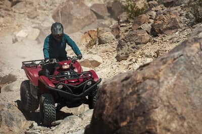 2021 Yamaha Grizzly EPS