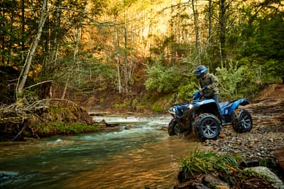 2021 Yamaha Grizzly EPS