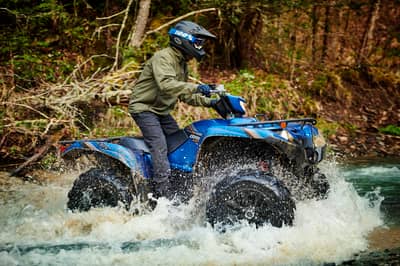 2021 Yamaha Grizzly EPS