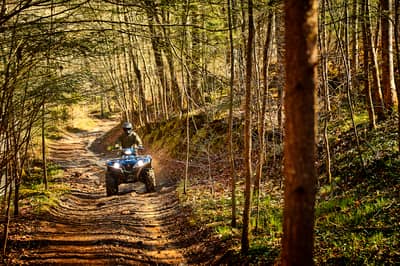 2021 Yamaha Grizzly EPS