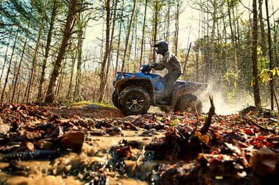 2021 Yamaha Grizzly EPS