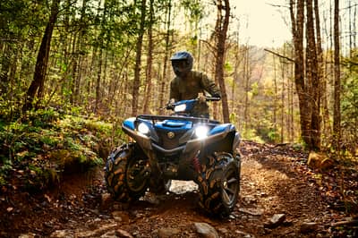 2021 Yamaha Grizzly EPS