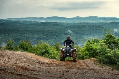 2021 Yamaha Grizzly EPS