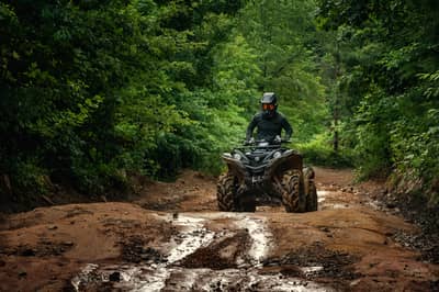 2021 Yamaha Grizzly EPS