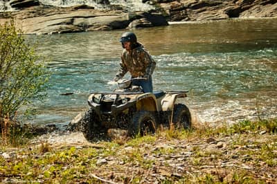 2019 Yamaha Kodiak 450