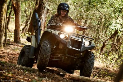 2019 Yamaha Kodiak 450