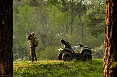 2019 Yamaha Kodiak 450