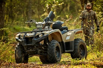 2019 Yamaha Kodiak 450