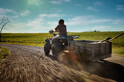 2019 Yamaha Kodiak 450