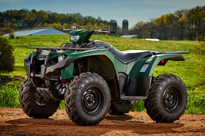 2019 Yamaha Kodiak 450