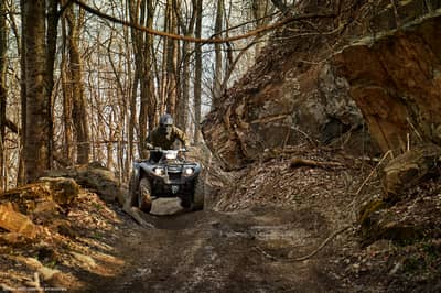 2019 Yamaha Kodiak 450