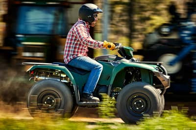2019 Yamaha Kodiak 450
