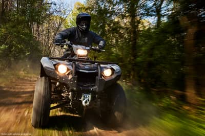 2019 Yamaha Kodiak 450