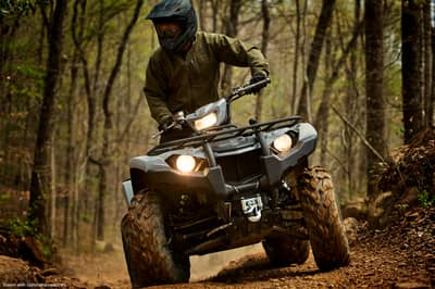 2019 Yamaha Kodiak 450