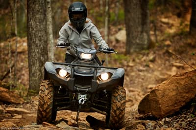 2019 Yamaha Kodiak 450