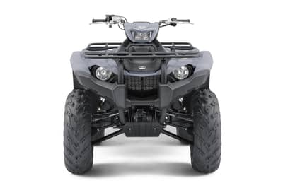 2019 Yamaha Kodiak 450