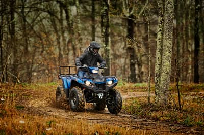 2019 Yamaha Kodiak 450