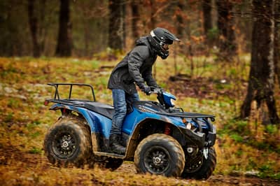 2019 Yamaha Kodiak 450