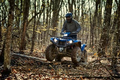 2019 Yamaha Kodiak 450