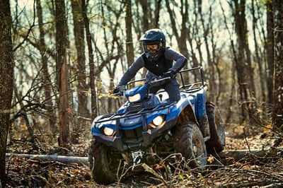 2019 Yamaha Kodiak 450