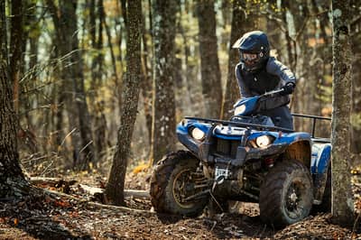 2019 Yamaha Kodiak 450