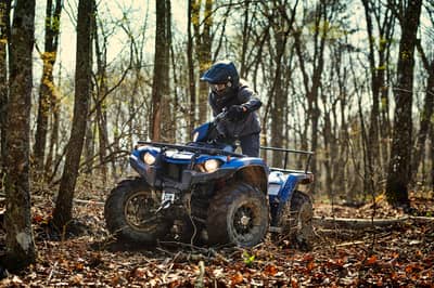 2019 Yamaha Kodiak 450