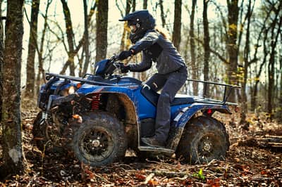 2019 Yamaha Kodiak 450