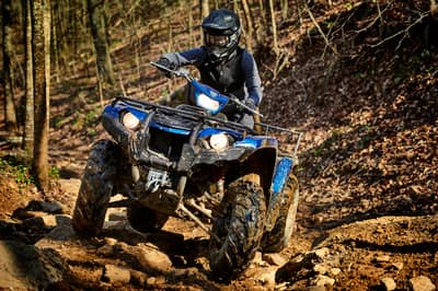 2019 Yamaha Kodiak 450