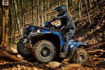 2019 Yamaha Kodiak 450
