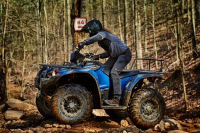 2019 Yamaha Kodiak 450