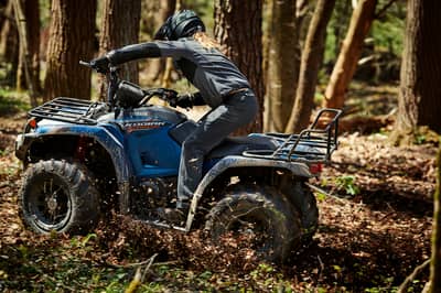 2019 Yamaha Kodiak 450