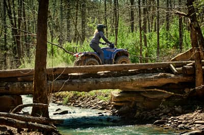 2019 Yamaha Kodiak 450