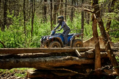 2019 Yamaha Kodiak 450