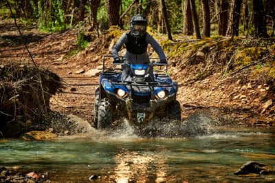 2019 Yamaha Kodiak 450