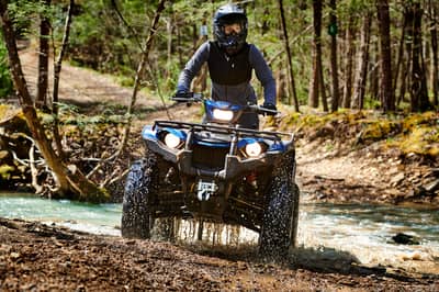 2019 Yamaha Kodiak 450