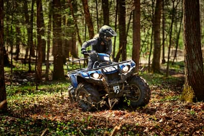2019 Yamaha Kodiak 450