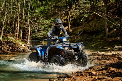 2019 Yamaha Kodiak 450