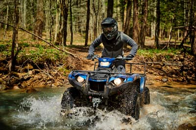 2019 Yamaha Kodiak 450