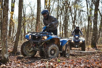2019 Yamaha Kodiak 450