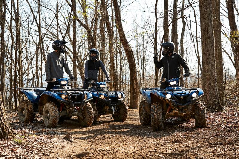 2019 Yamaha Kodiak 450
