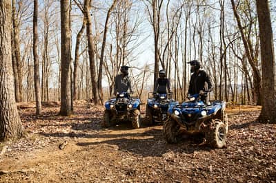 2019 Yamaha Kodiak 450