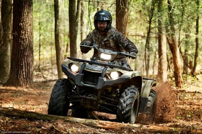2019 Yamaha Kodiak 450