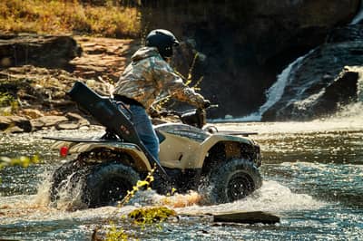 2019 Yamaha Kodiak 450