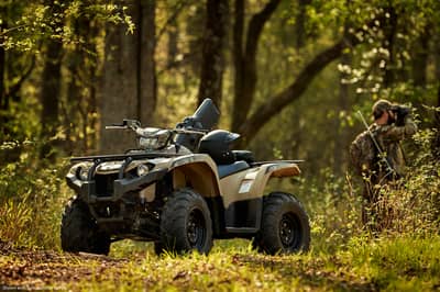 2019 Yamaha Kodiak 450