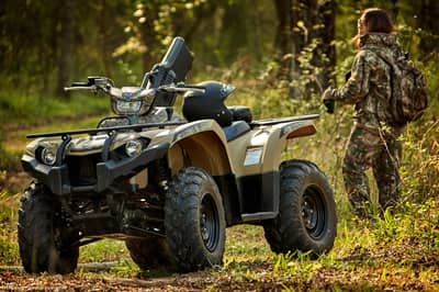 2019 Yamaha Kodiak 450
